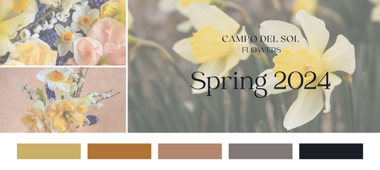 Campo del Sol's Spring Color Palette